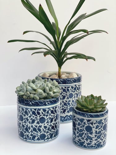 اصيص نباتات ازرق - اسطواني / مقاسات مختلفة