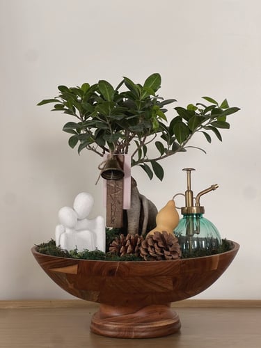 هدية شجرة بونساي | زوجين