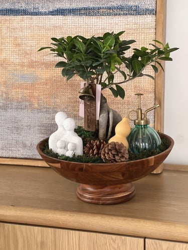 هدية شجرة بونساي | زوجين و طفل/طفلين