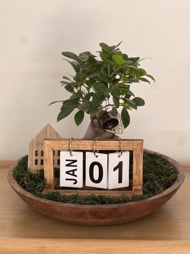 هدية شجرة البونساي | تقويم المنزل