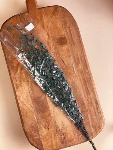 اغصان يوكالبتوس طبيعي مجفف - صغير