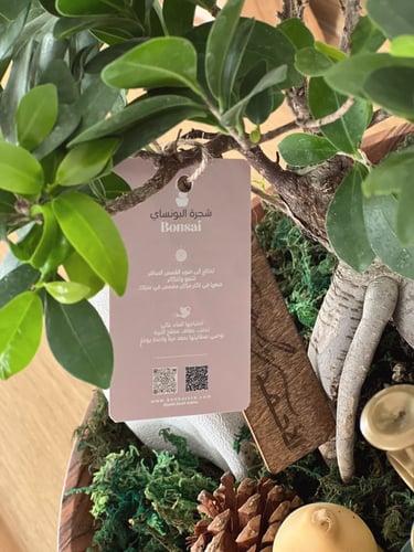 هدية شجرة بونساي | زوجين و طفل/طفلين