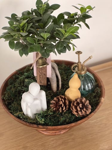 هدية شجرة بونساي | زوجين