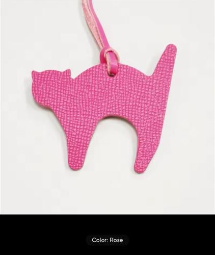 تعليقة القط