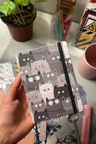 بوكس القراءة