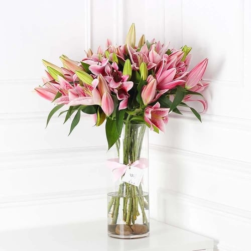 وردة كازابلانكا (ليليوم)