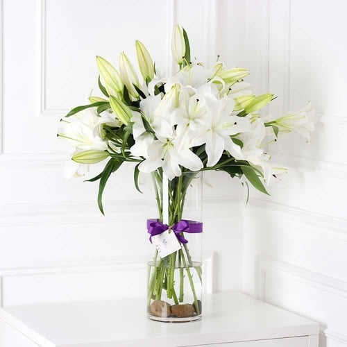 وردة كازابلانكا (ليليوم)