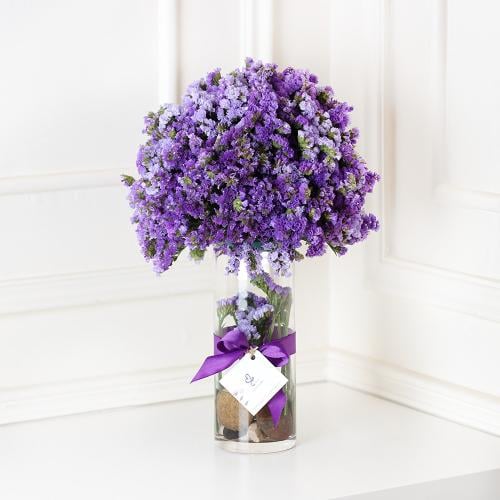 زهرة الاستاتوس