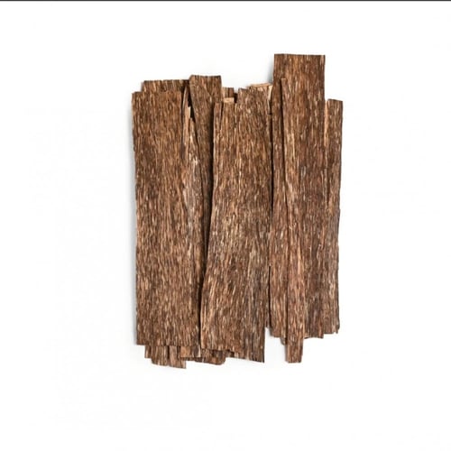 رقائق فتنامي