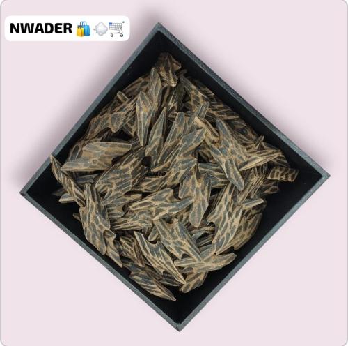 كمبودي تايقر