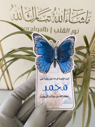 مستكة فراشة مواليد