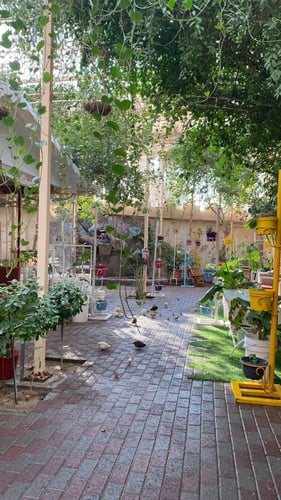 حدائق السوسن - الأحساء