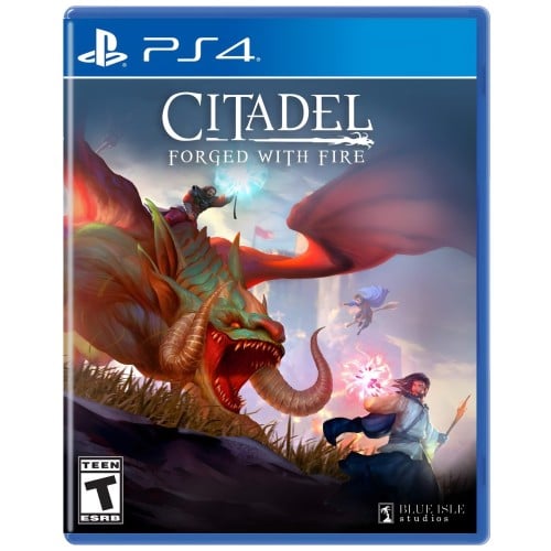 Citadel Forged with Fire