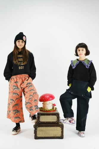 كنزة فلوريندا - فراشة