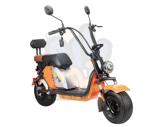 دباب الهارلي الحجم الوسط إصدار جديد 2023