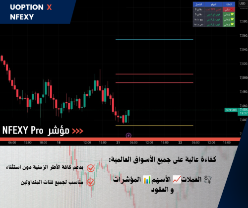 مؤشر NFEXY Pro( سنه + شهر إضافي )
