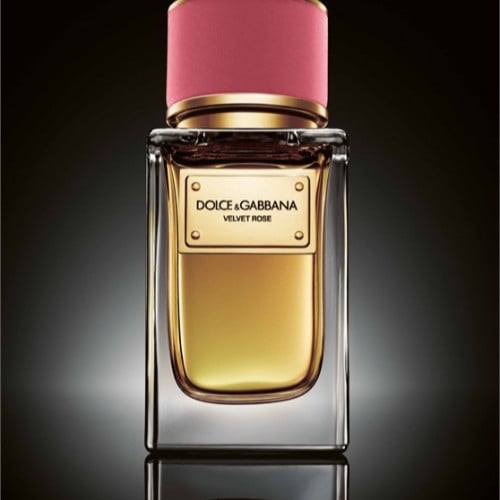 داينيا ( 8804 )