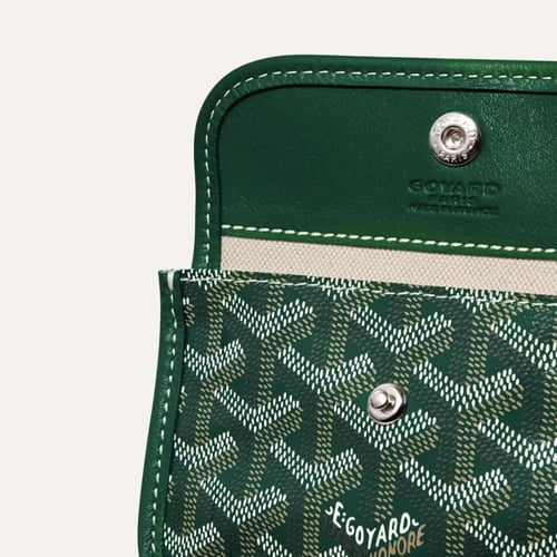 قويارد اخضر صغير