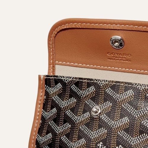 قويارد بني صغير