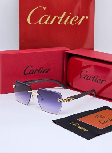 نــظارة كارتـير