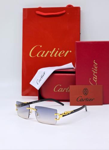 نــظارة كارتـير