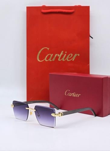 نــظارة كارتـير