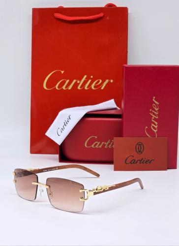 نــظارة كارتـير