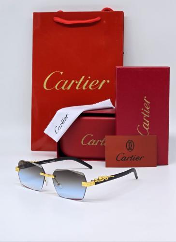 نــظارة كارتـير