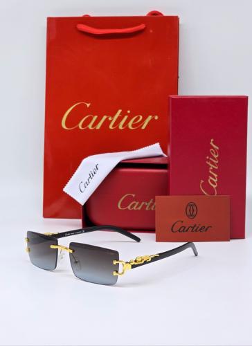 نــظارة كارتـير