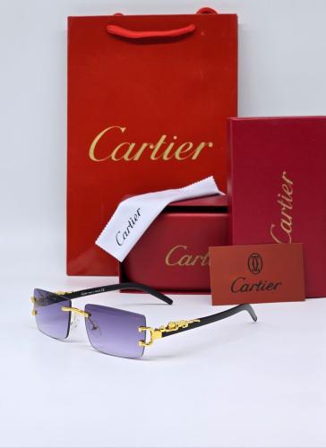 نــظارة كارتـير