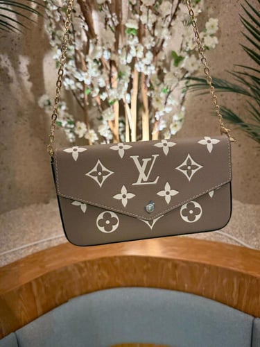 شنطة لويس فويتون