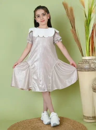 The shiny dress with a classic collar