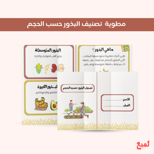 مطوية تصنيف البذور حسب الحجم (علوم اول ابتدائي ف ١...