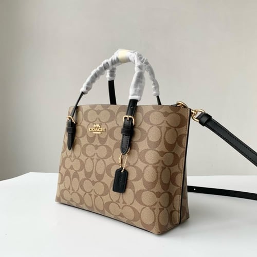 كوتش مولي توت باق | خمسة الوان