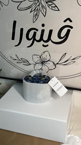 كوتش ميني باق