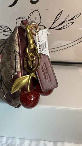 كوتش تيري تشيري شولدر باق