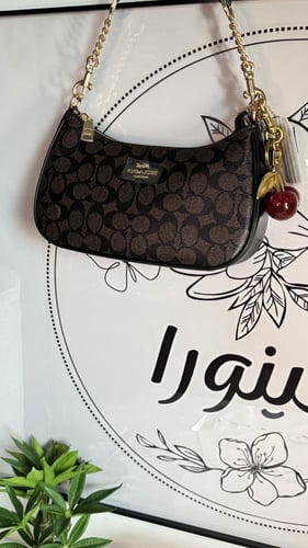 كوتش تيري شولدر باق