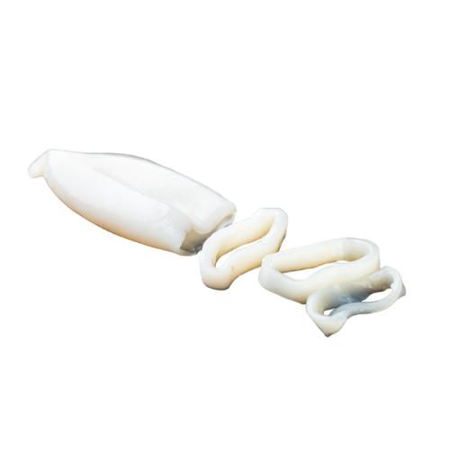 حبار منظف كامل IQF (U/10) 10 كجم