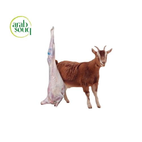 تيس كيني مبرد 8 - 10كيلو