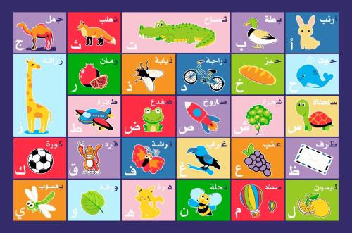 سجادة الحروف والصور العربية المستطيلة