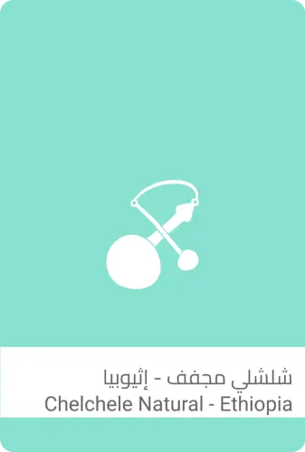 قهوة اثيوبيا شلشلي 250g سلالات