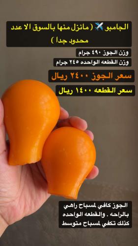 مقابض منقاويه الحجم الجامبو