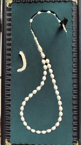 فرس النهر ١٠ * ١٣ مل