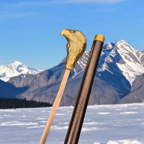 عصا غدارة صقر