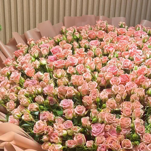 باقة ورد 150 غصن بيبي روز