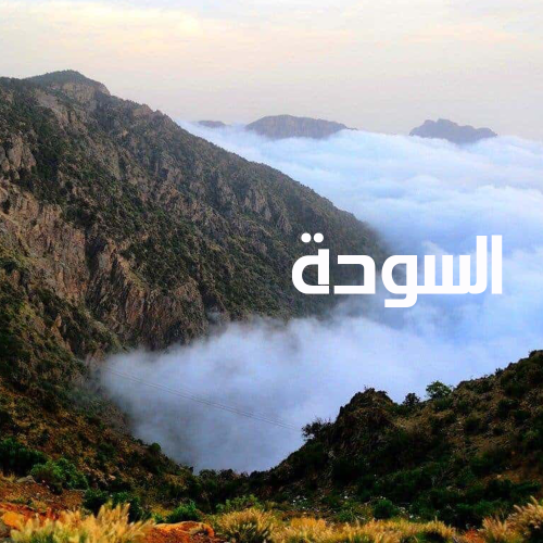 جوله سياحيه في السودة لمدة 8 ساعات
