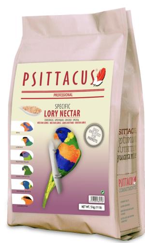 اكل ببغاء اللوري