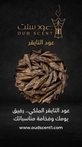 عود تايقر كمبودي