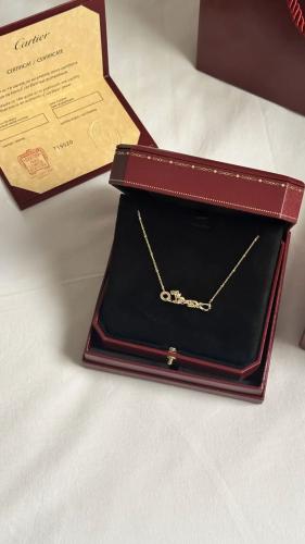 سلسال كارتير تايقر