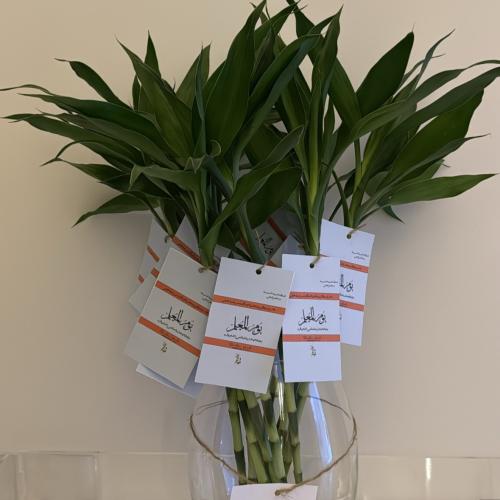 ساق البامبو